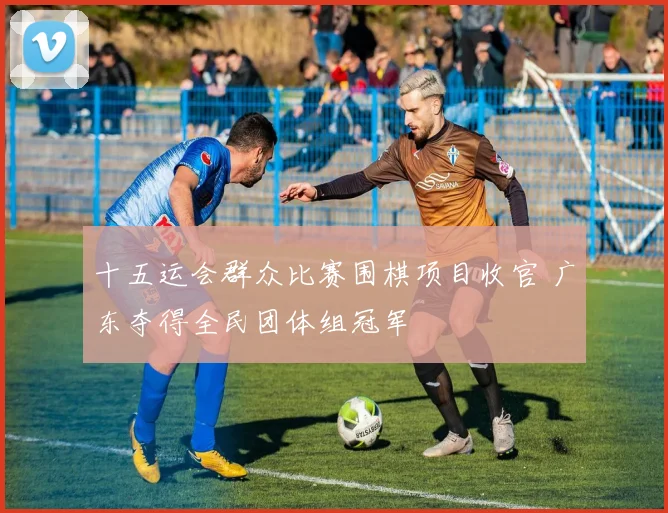 十五运会群众比赛围棋项目收官 广东夺得全民团体组冠军