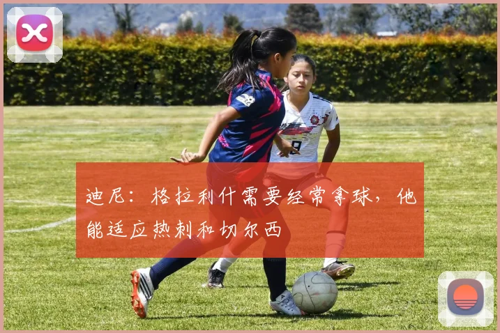 迪尼：格拉利什需要经常拿球，他能适应热刺和切尔西