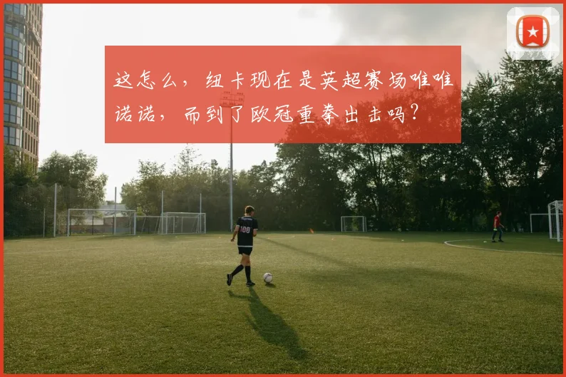 这怎么，纽卡现在是英超赛场唯唯诺诺，而到了欧冠重拳出击吗？