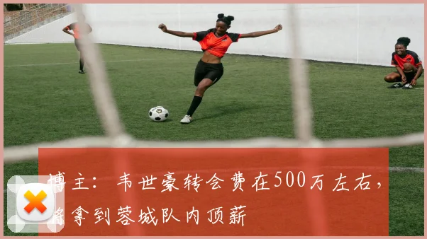 博主：韦世豪转会费在500万左右，将拿到蓉城队内顶薪