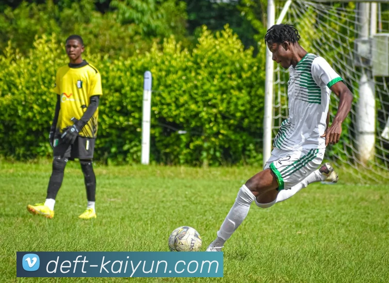 开云平台生态图